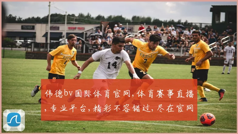 伟德bv国际体育官网,体育赛事直播,专业平台,精彩不容错过,尽在官网体验