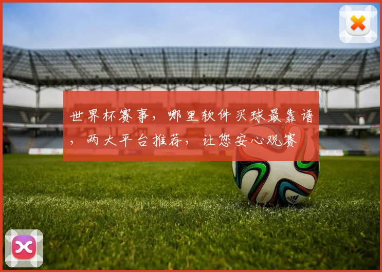 世界杯赛事，哪里软件买球最靠谱，两大平台推荐，让您安心观赛