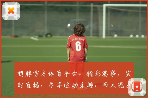 鸭脖官方体育平台，精彩赛事，实时直播，尽享运动乐趣，两大亮点不容错过