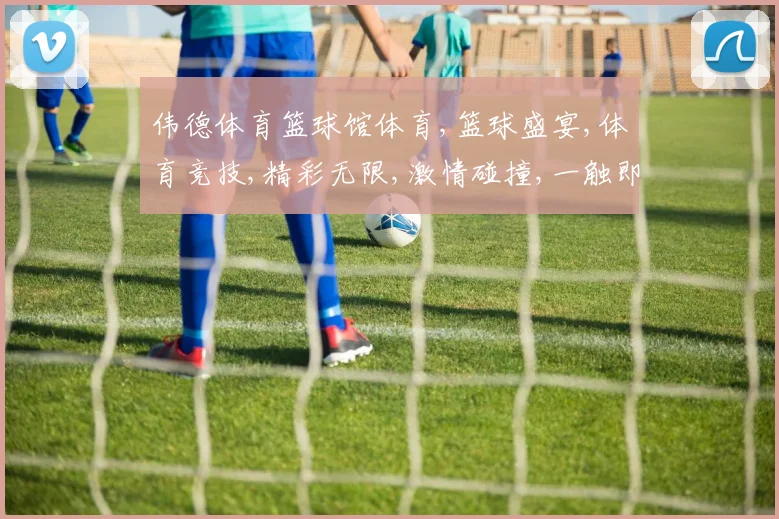伟德体育篮球馆体育,篮球盛宴,体育竞技,精彩无限,激情碰撞,一触即发